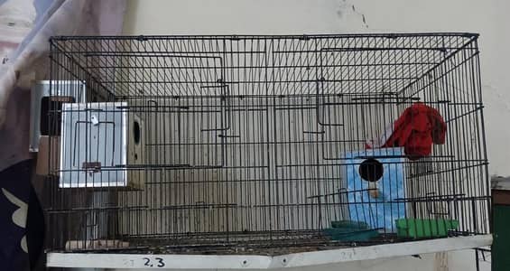 Cage for sale available