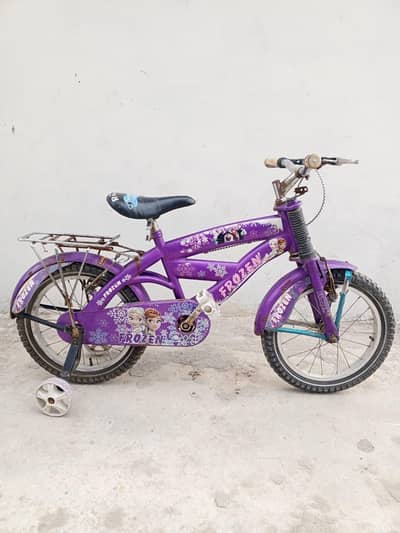 frozen cycle in H13 Islamabad