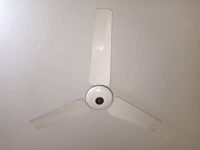 celling fans pure copper sk gfc all brands