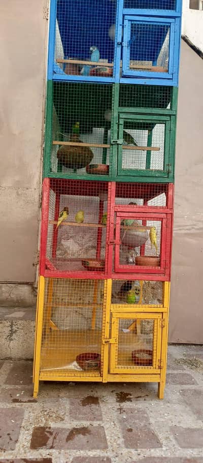 parrot cage