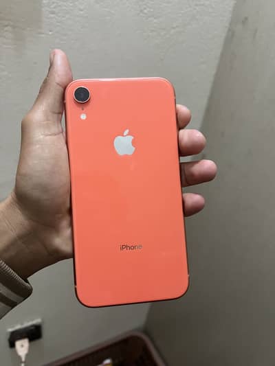 iPhone XR Jv only cash