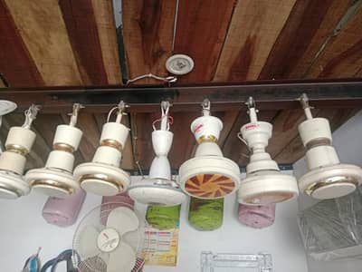 Royal ceiling Fans