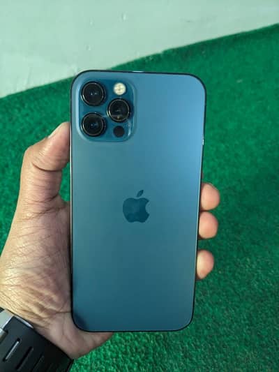 iPhone 12 pro( non pta )