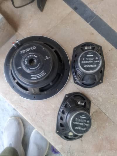 amplifier and specker