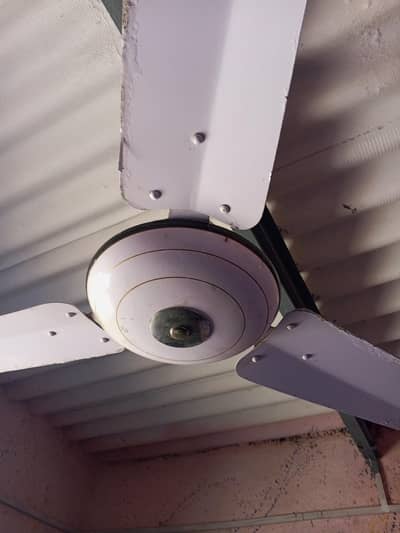 AC ceiling fan for sale