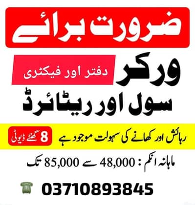 IMPORT EXPORT ISLAMABAD