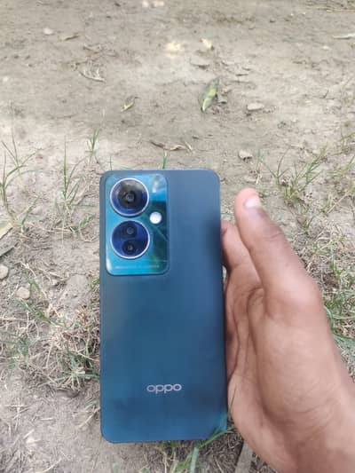 03173158109 RENO 11 F