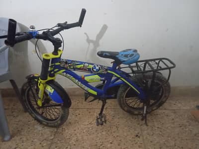 importit cycle. 12000.03009248007