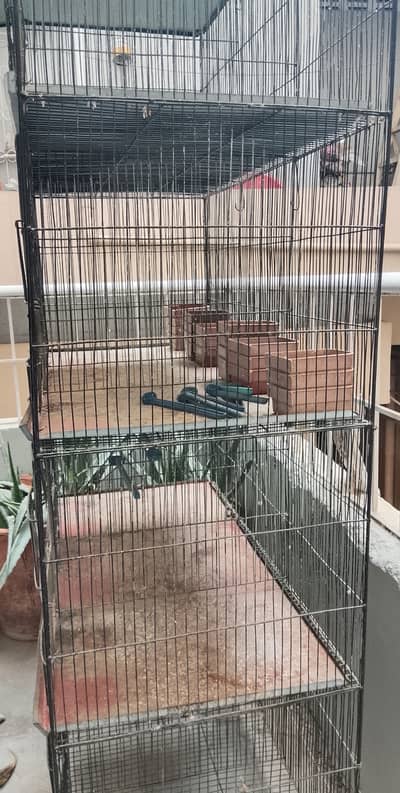 Parriot Cage for Sell