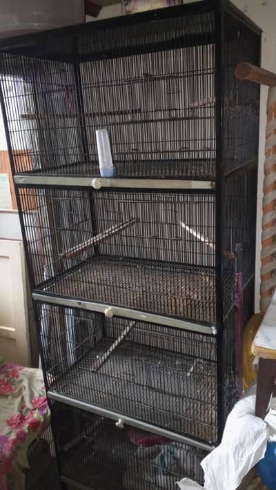 birds cage