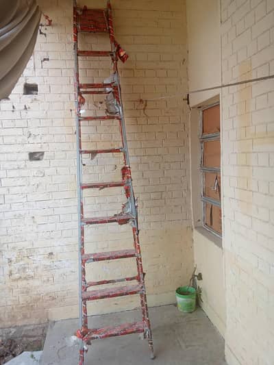 10 step Foldable ladder