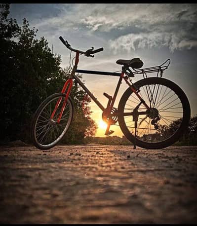 Stylized Stunt Bicycle for Sale