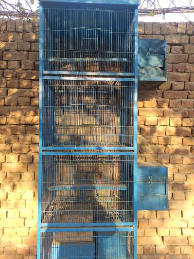 Parrot Cage