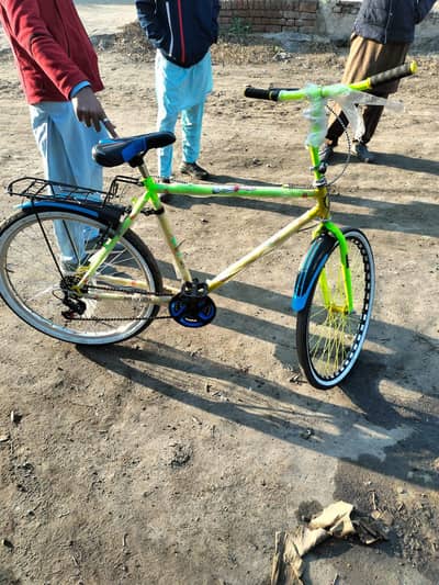 Phoenix Bicycle Brand New not used