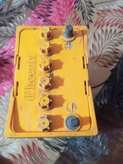 12 palati he now h 03066876866