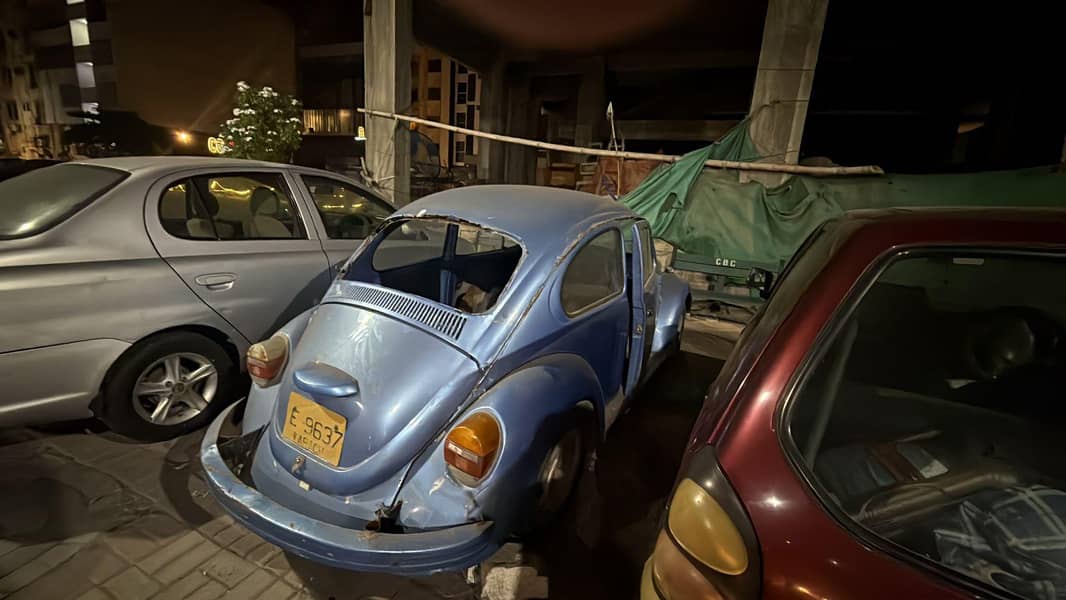 project beetle 2