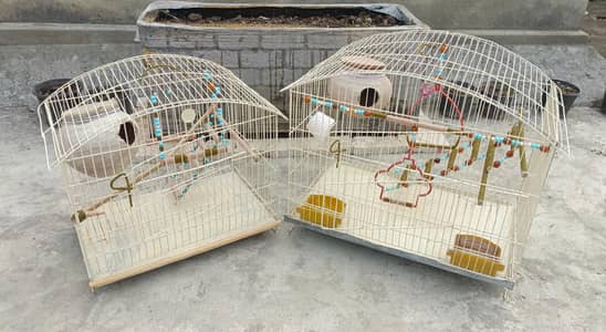 Beautiful new cages. . .