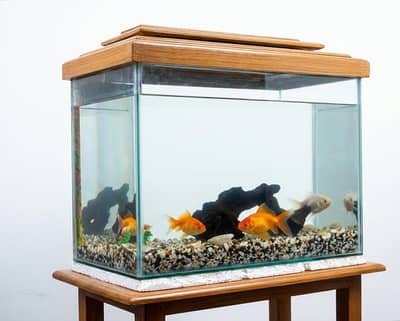 Fish Aquarium in 10/10 condition