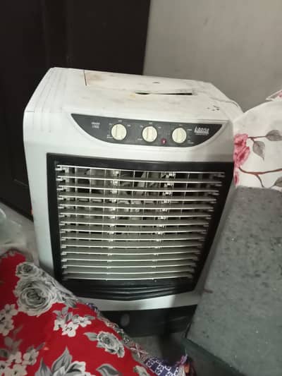 I-Zone company urgent sale