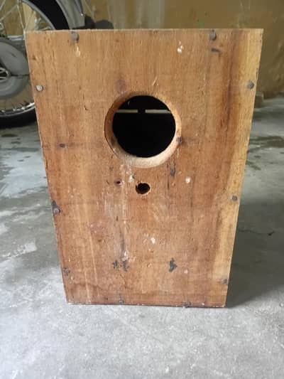 pure wood bird box