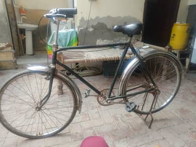 with stainless steel mud guards