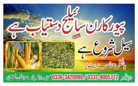 salige100%pure salige