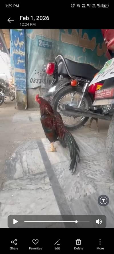 High quality And high price jis bahi ko samaj aye sirf wo hi rabbta kr