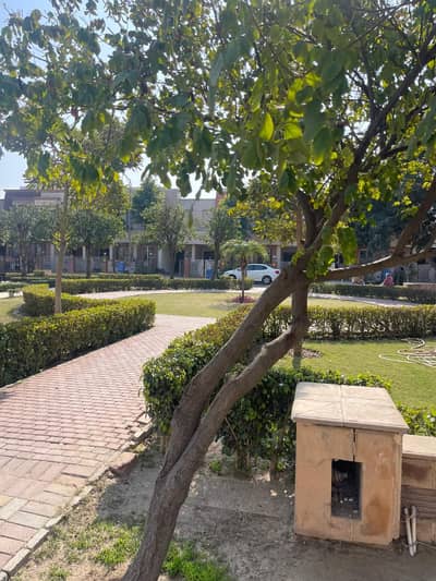 5 MARLA NEAR TO PARK PLOT AVAILABLE FOR SALE