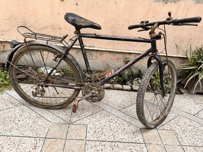 Phoenix bicycle with gears