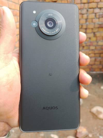 AQUOS R7  12 / 256