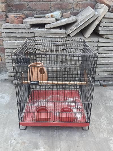 birds cages