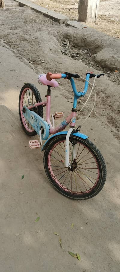 Beautiful cycle for girls