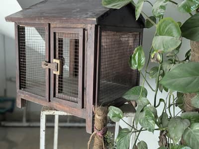 customiser Parrot fency cage  just like new