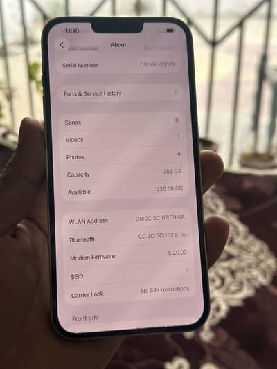 iPhone 13 Pro.     Max sim work
