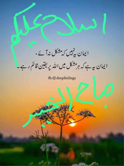 Usman Talha