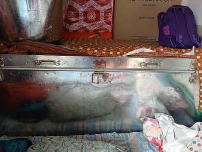 Iron Paiti, 6 feet with Stand