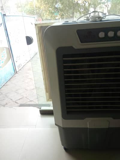 Required femail house mad