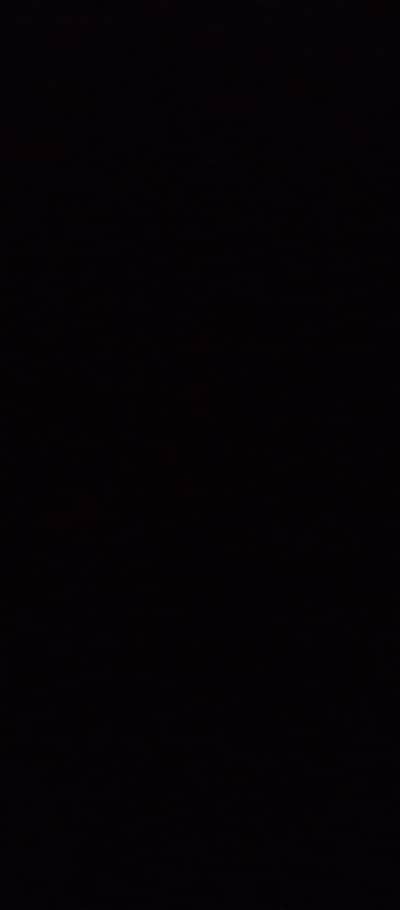  Bizonline is Hiring – Junior WordPress Developer