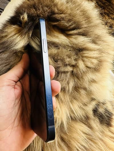 iPhone 12 | FU | 64gb | non pta