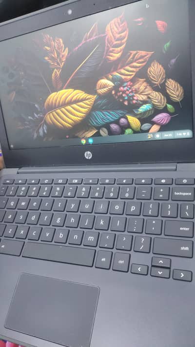 HP CHROMEBOOK 4GB 32GB TYPE C CHARGER