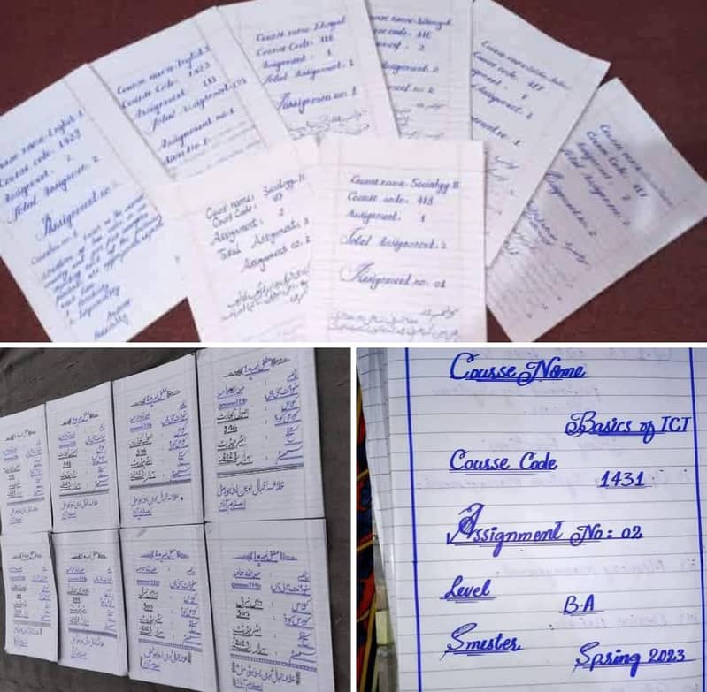 Hand Writing Assignment,Data Entry Or Ms Typing Work 0