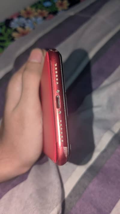 Iphone 11 // 64 gb //