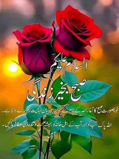 Kheyaban colony no 3 plot 10 Marla for sale