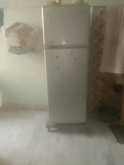 haier refigeeter sale