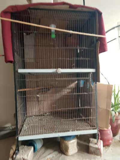cage for urgent sale
