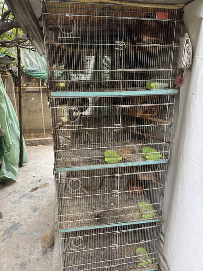 Tower cages Love Birds