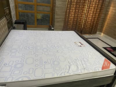 Master molty foam delux