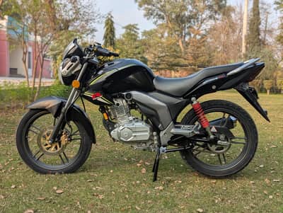 SUZUKI GXR 03313939676