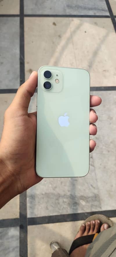 iphone 12 Pta approved