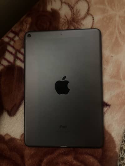 iPad mini 5